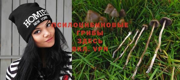 крисы Магадан
