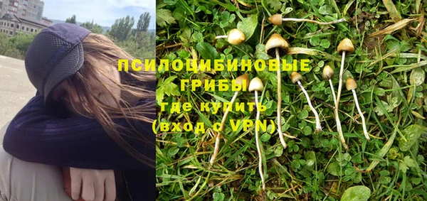 ALPHA-PVP Мегион