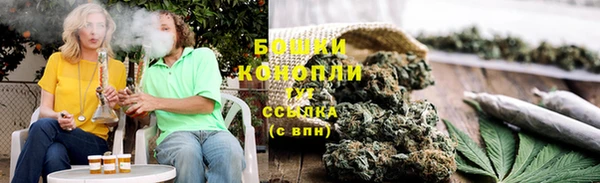 крисы Магадан