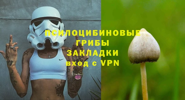 крисы Магадан