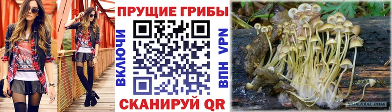 Галлюциногенные грибы ЛСД  наркошоп  Луза 